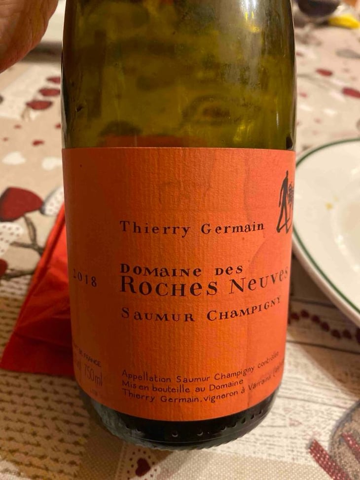Saumur Champigny - Domaine des Roches Neuves - Thierry et Louis Germain 