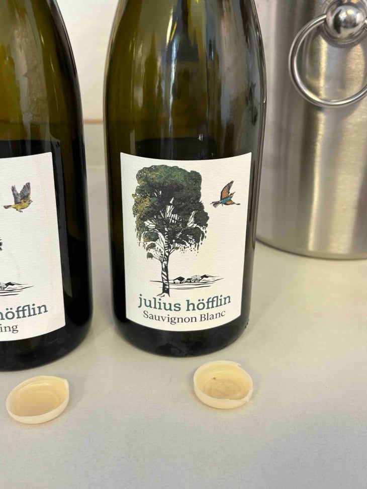 Sauvignon Blanc Zaunkönig - Weingut Höfflin - Matthias und Julius Höfflin 