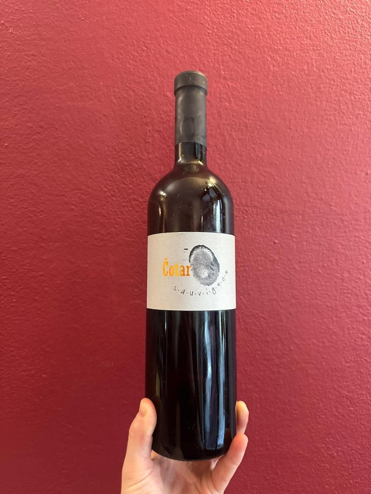 Sauvignon - Čotar - Branko & Vasja Čotar 