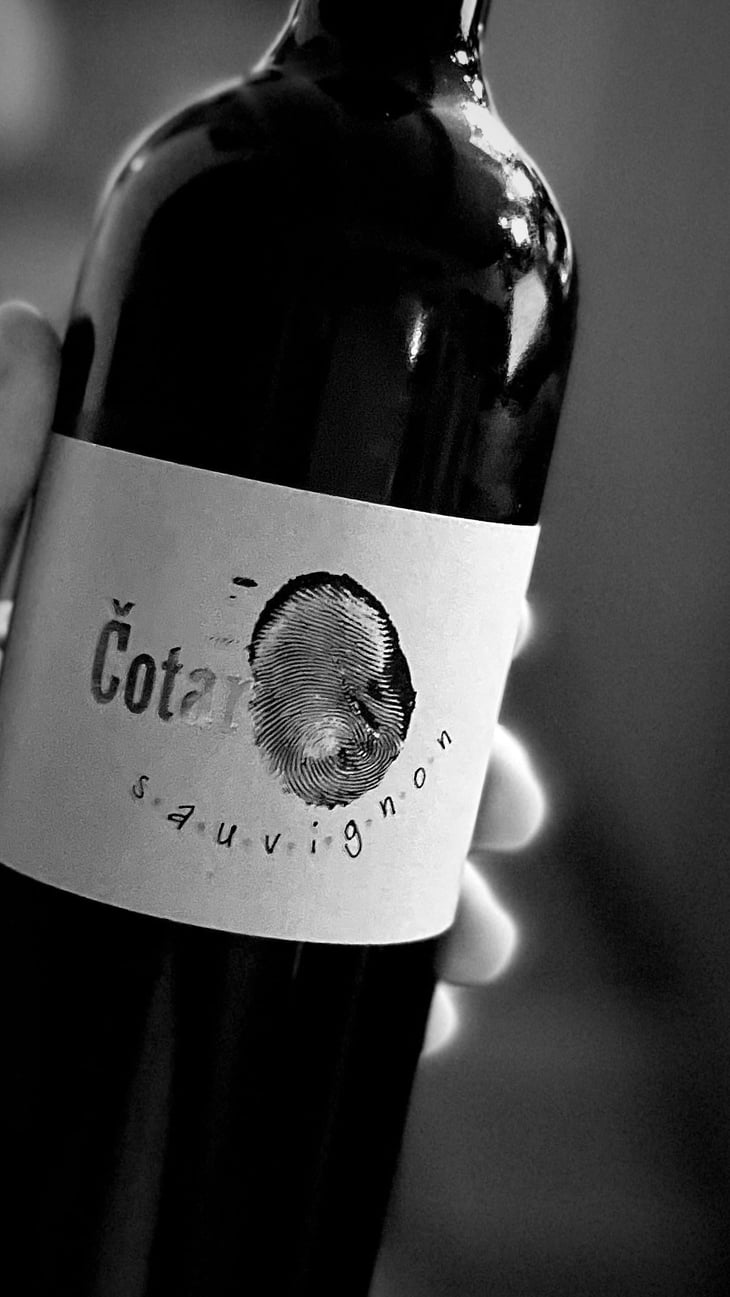 Sauvignon - Čotar - Branko & Vasja Čotar 