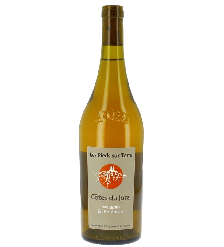 Savagnin - Les Pieds Sur Terre - Valentin Morel 