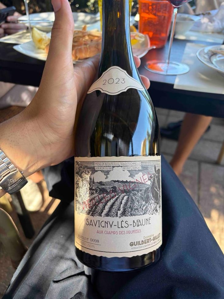 Savigny les Beaune « aux champs des pruniers” - Guilbert Gillet - Benjamin Guilbert -2022