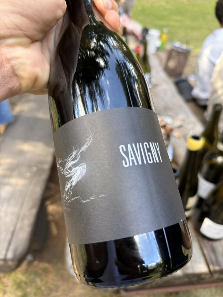 Savigny - Maison Pinot Noar - Arnaud Lopez 