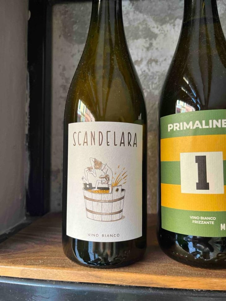 Scandelara Bianco - Scandelara - Azienda Agricola Castel Arienti - Mattia Donini 