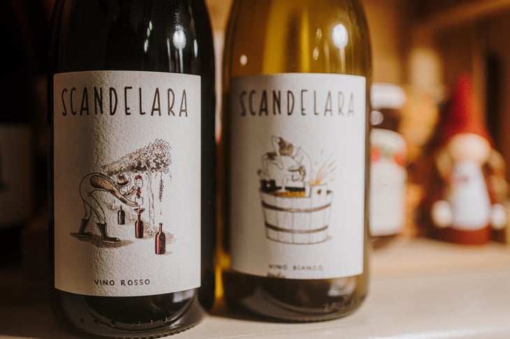 Scandelara Bianco - Scandelara - Azienda Agricola Castel Arienti - Mattia Donini 