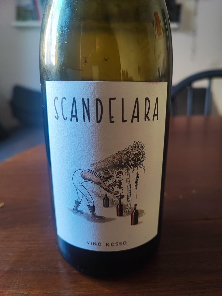 Scandelara Rosso - Scandelara - Azienda Agricola Castel Arienti - Mattia Donini 