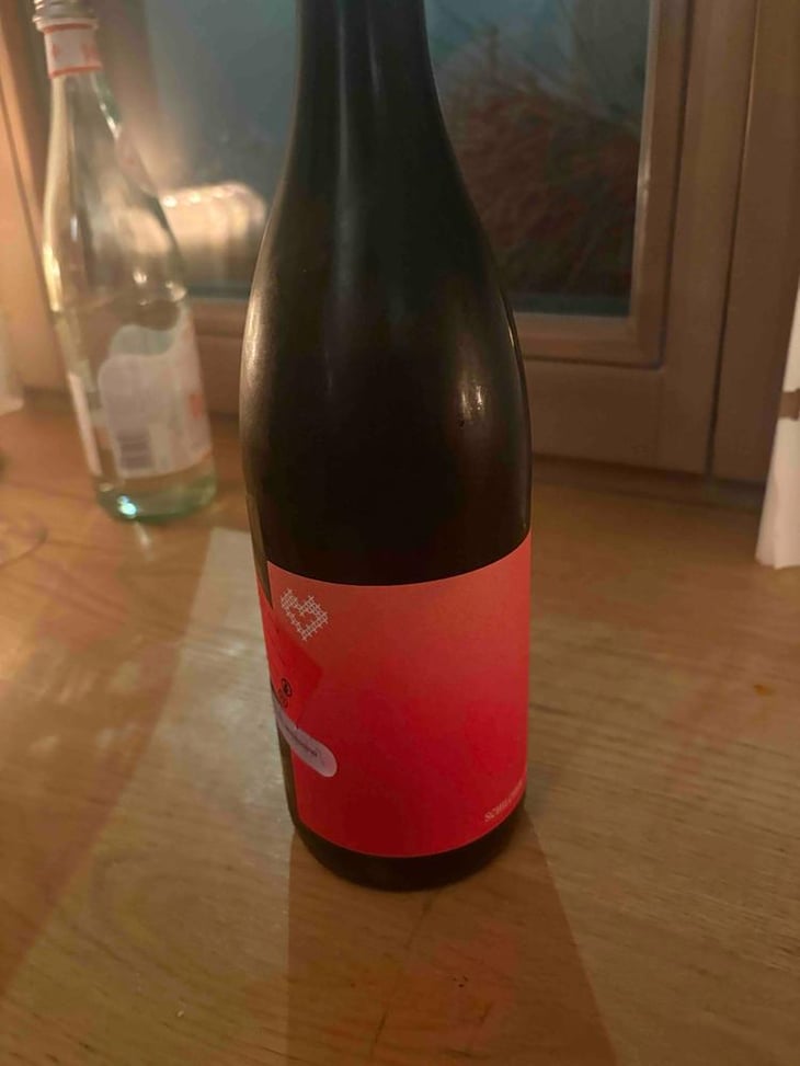 Schilcher - Weingut Michi Lorenz - Michi Lorenz -2021