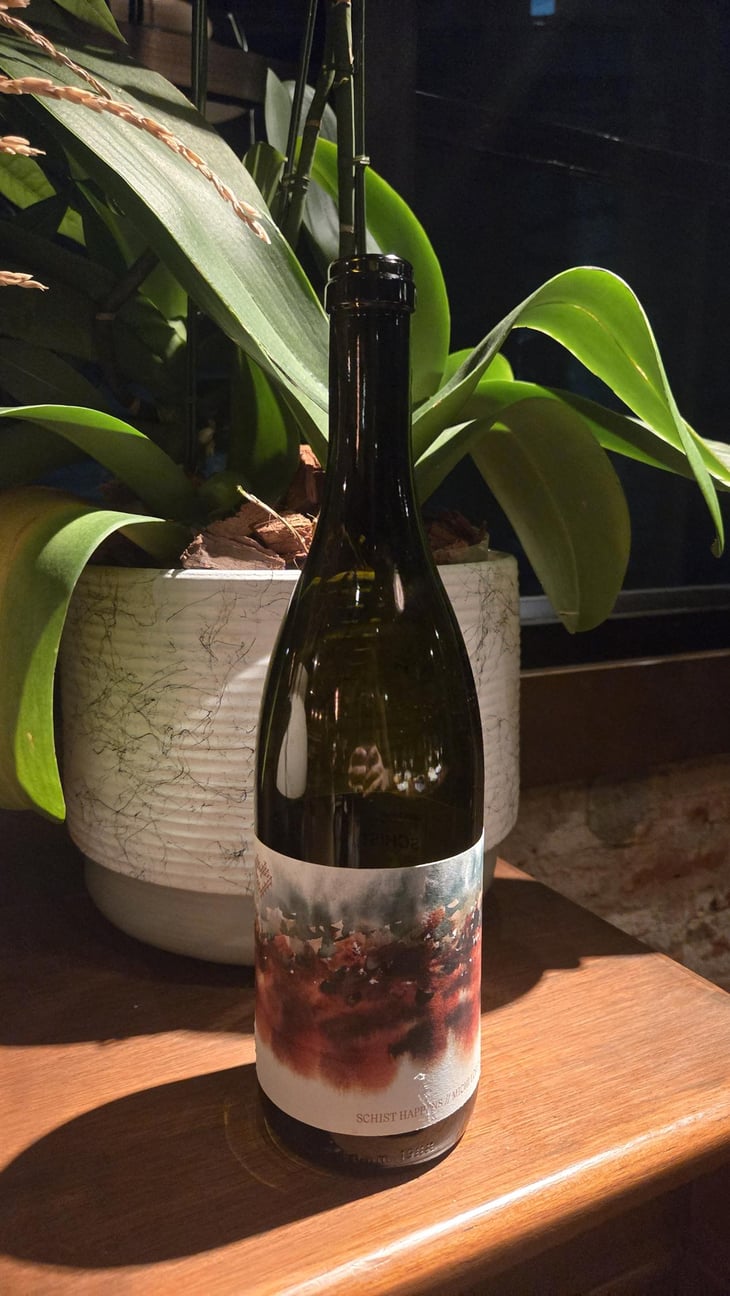 Schist Happens - Weingut Michi Lorenz - Michi Lorenz -2021