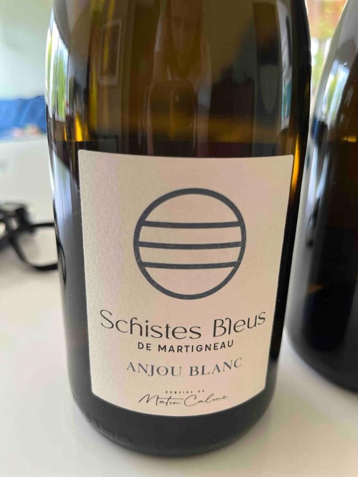Schistes bleus de Martigneau - Domaine du Matin Calme - Anne-Laura Aulon et Victor Robion -2022