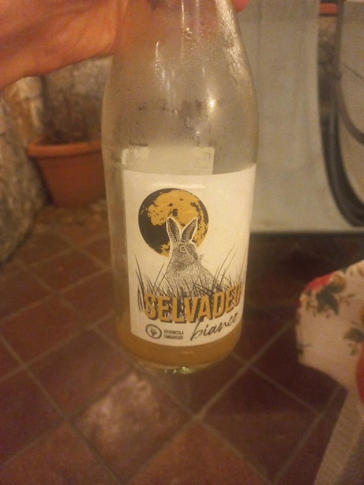 Selvadeg Bianco - Vitivinicola Fangareggi - Matteo Fangareggi 