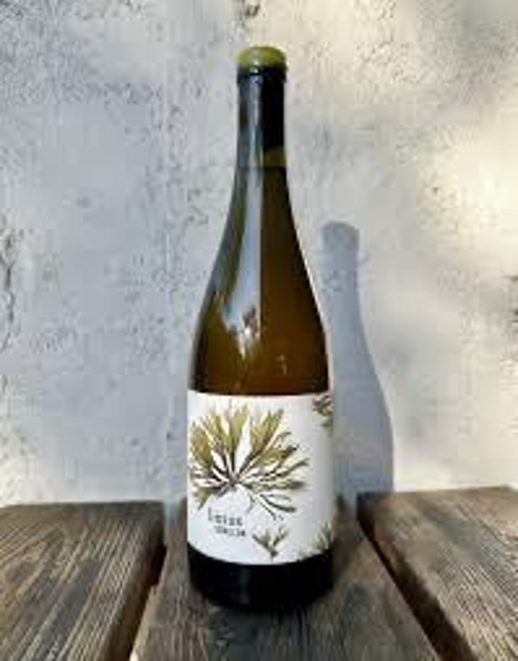 Semillon - Limus Wine - Kyatt Dixon 
