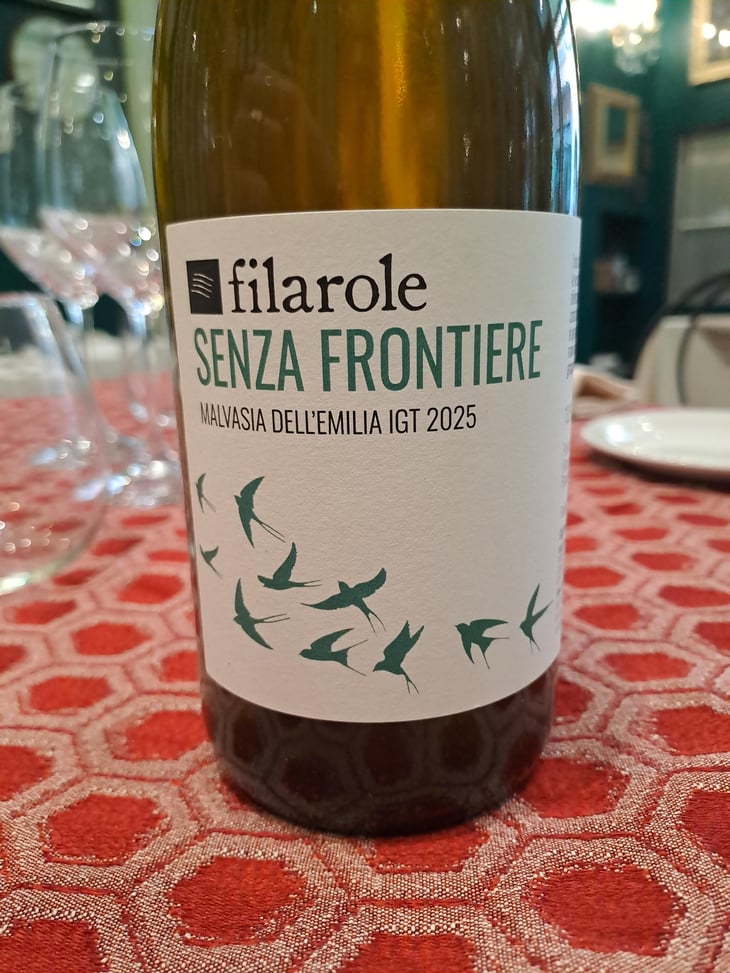 Senza Frontiere - Filarole - Barbara Pulliero & Paolo Rusconi -2024