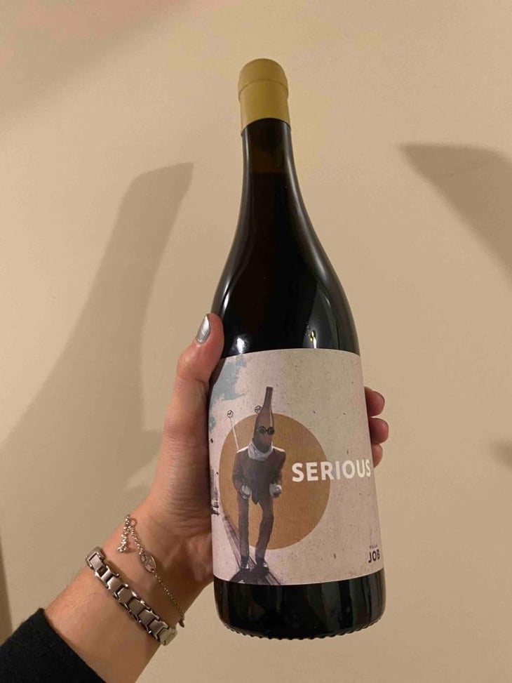 Serious - Villa Job - Alessandro Job 