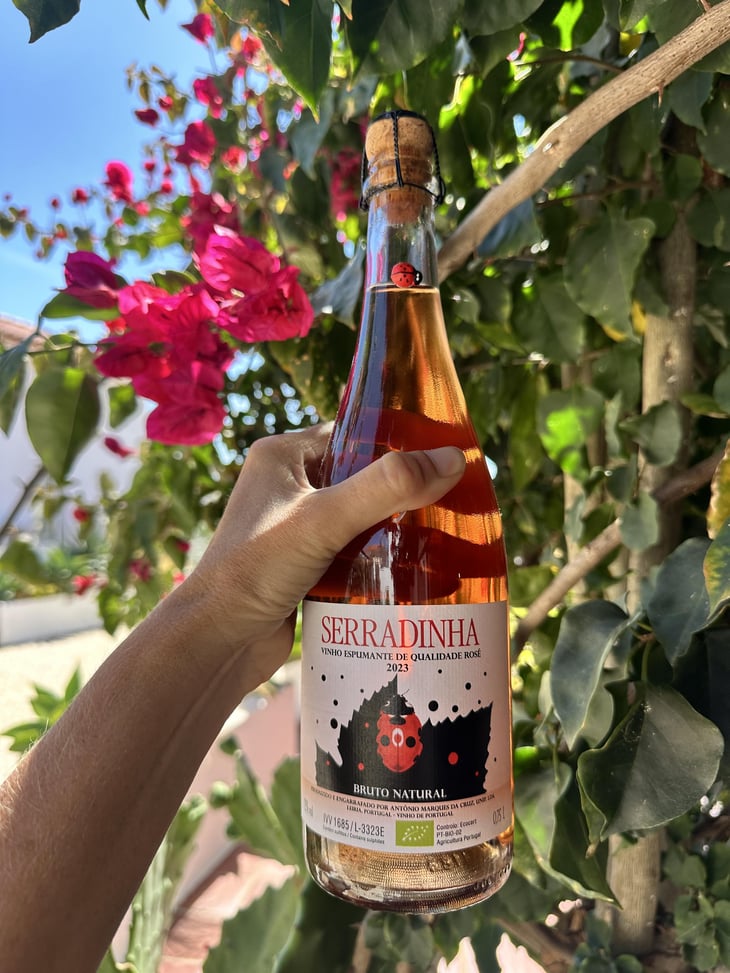 Serradinha Espumante - Quinta da Serradinha - António Marques da Cruz -2023