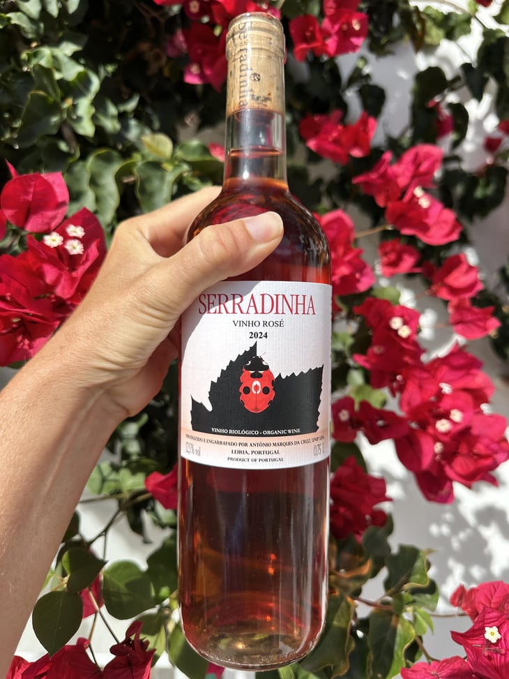 Serradinha Rosé - Quinta da Serradinha - António Marques da Cruz -2019