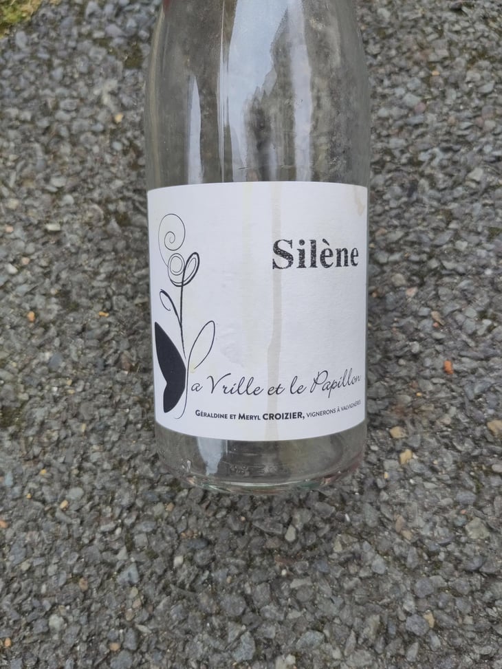 Silène - La Vrille et le Papillon - Géraldine & Méryl Croizier 