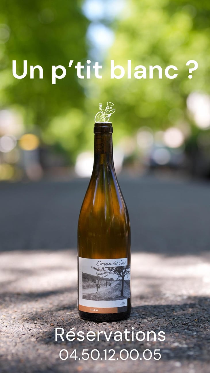SILENE - Domaine des Crais - Ben & Andrea Vauchez Tissier -2024