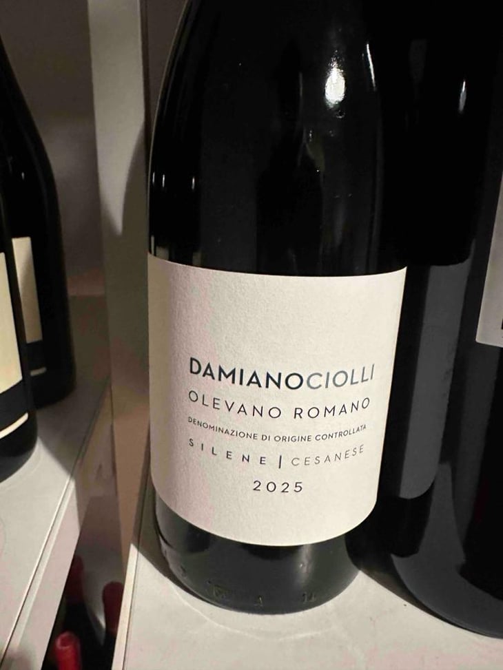 Silene - Damiano Ciolli - Damiano Ciolli 