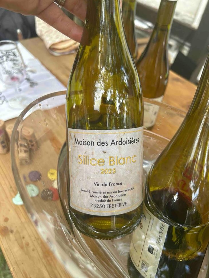 Silice - Domaine des Arsoisières - Brice Ormont -2022