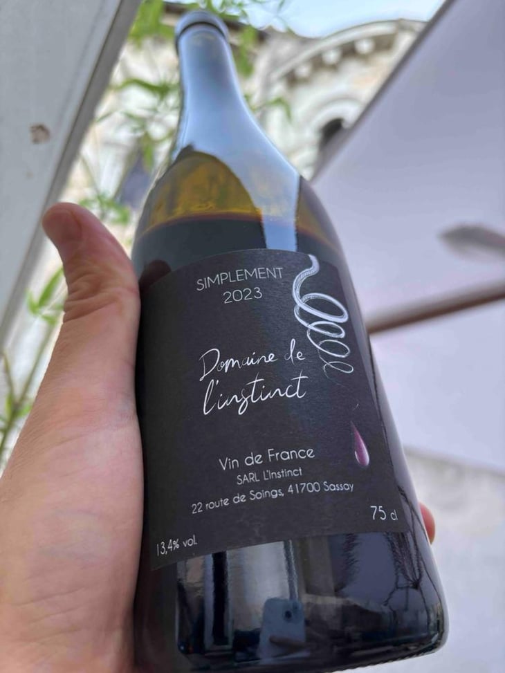 Simplement - Domaine de L’Instinct - Frédéric Lebaupain & Claire Abonnat -2023