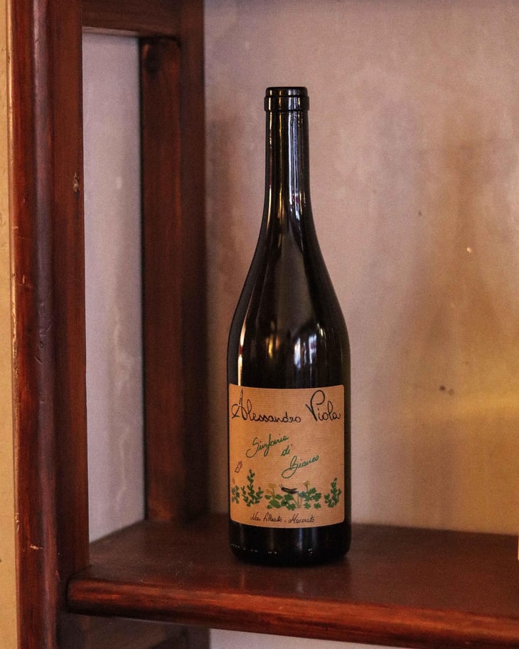 Sinfonia di Bianco - Azienda Agricola Alessandro Viola - Alessandro Viola 