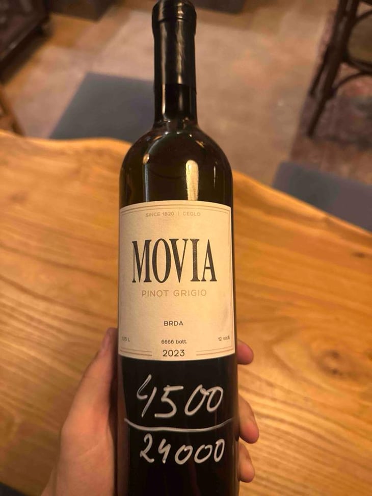 Sivi Pinot Grigio - Movia - Aleš Kristančič 