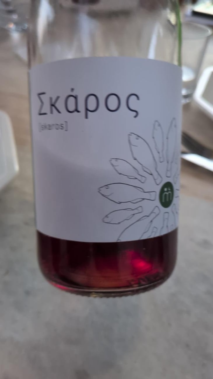 Σκάρος - Myrsini Winery - Marie-Astrid & Nicolas Bourget -2024