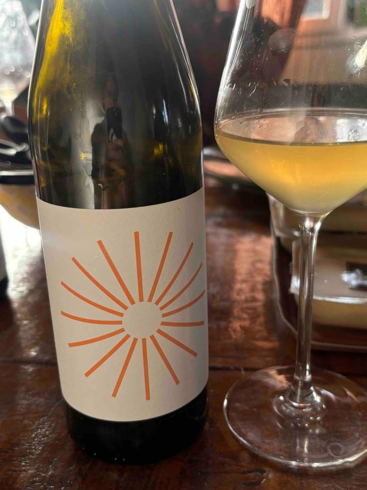 Skin Contact - Saravá - Galactic Wine - Miguel Viseu -2024