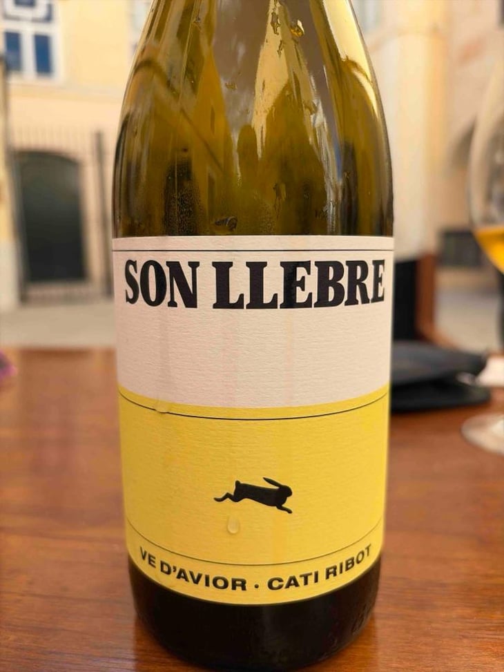 Son llebre blanc - Ve d'Avior - Cati Ribot 