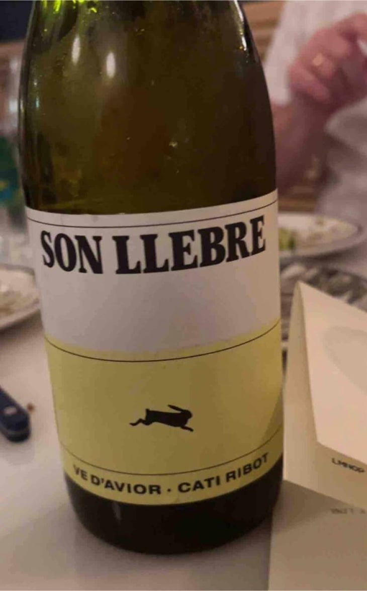 Son llebre blanc - Ve d'Avior - Cati Ribot 