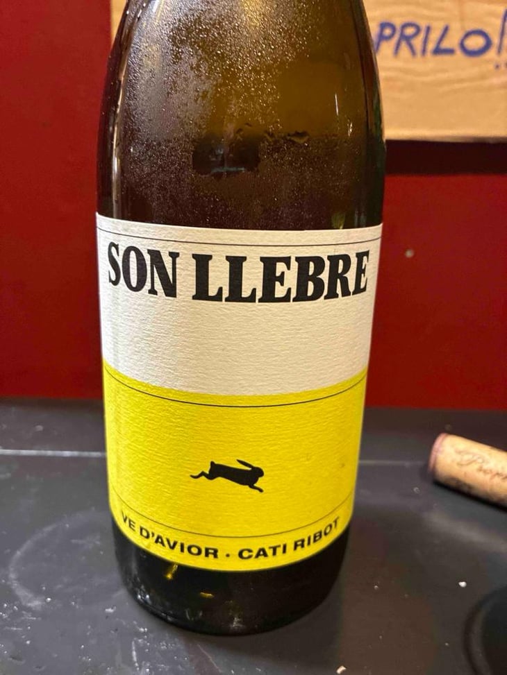Son llebre blanc - Ve d'Avior - Cati Ribot 
