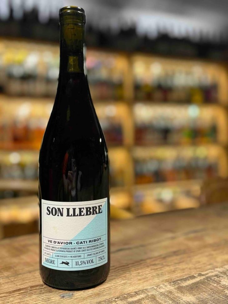 Son llebre negre - Ve d'Avior - Cati Ribot -2020