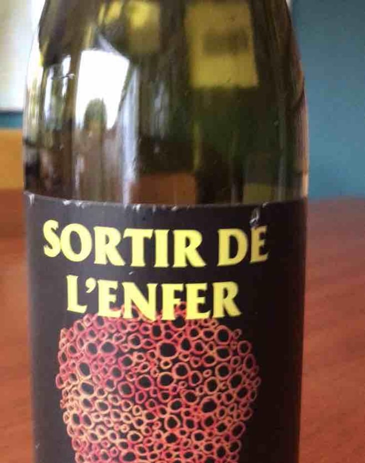 Sortir De L’Enfer - No Control - Vincent Marie 