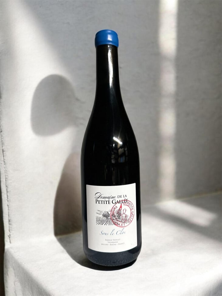 Sous le Clos - Clos de la petite Gallée - Pierre Thollet -2023
