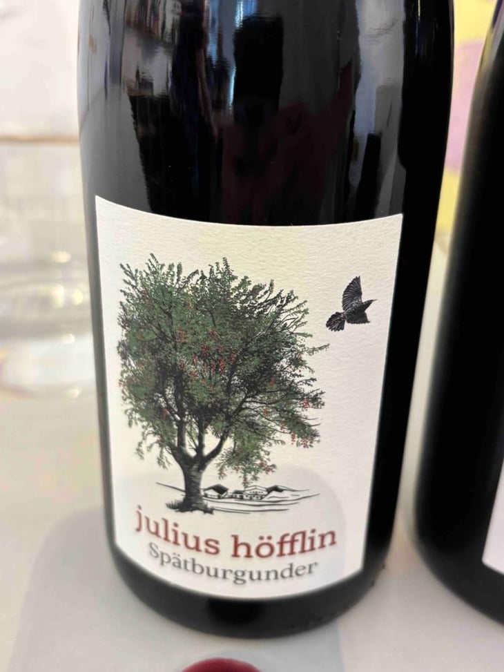 NaturTalent Spätburgunder - Weingut Höfflin - Matthias und Julius Höfflin 