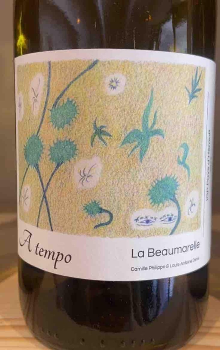 Spaziotempo - Società agricola Delle Selve - Alberto Volanti 