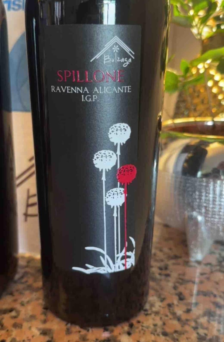 Spillone - Cantina Bulzaga - Alessandro Bulzaga 