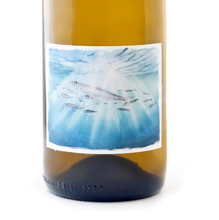Sprat - Domaine Passe Pont - david-landron -2025