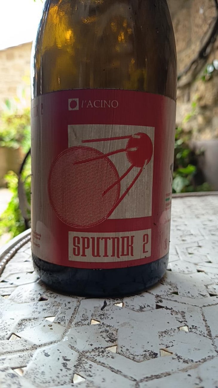 Sputnik 1 - L'Acino - Dino Briglio Nigro 
