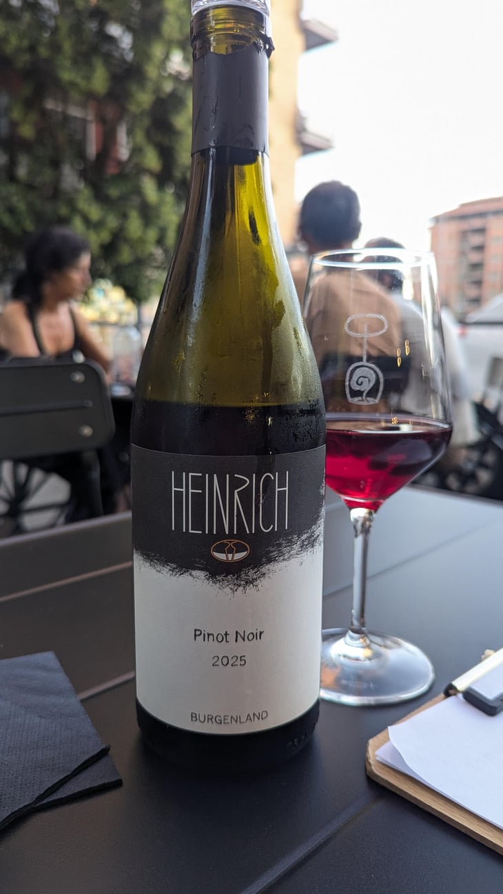 St Laurent - Weingut Heinrich - Gernot & Heike Heinrich 