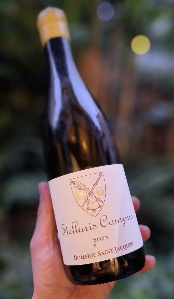 Stellaris Campus - Domaine Saint Jacques - Domaine Saint Jacques -2023