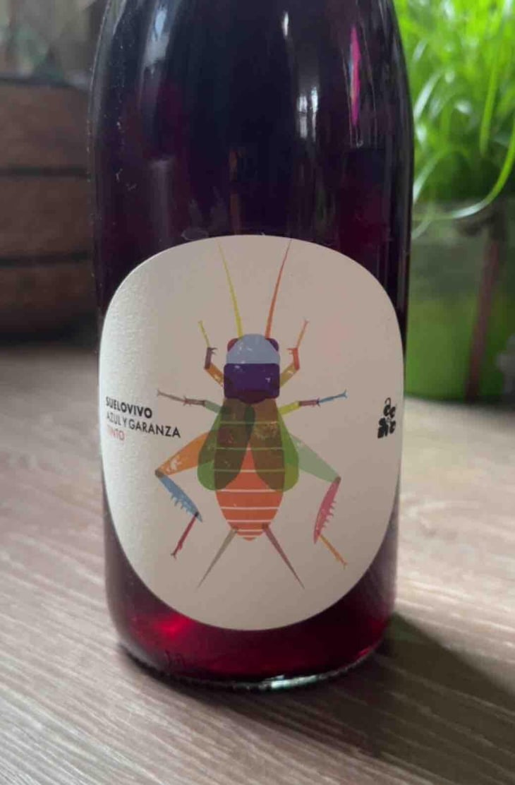 Suelo vivo tinto - Navarra - Bodegas Lezaun -2022