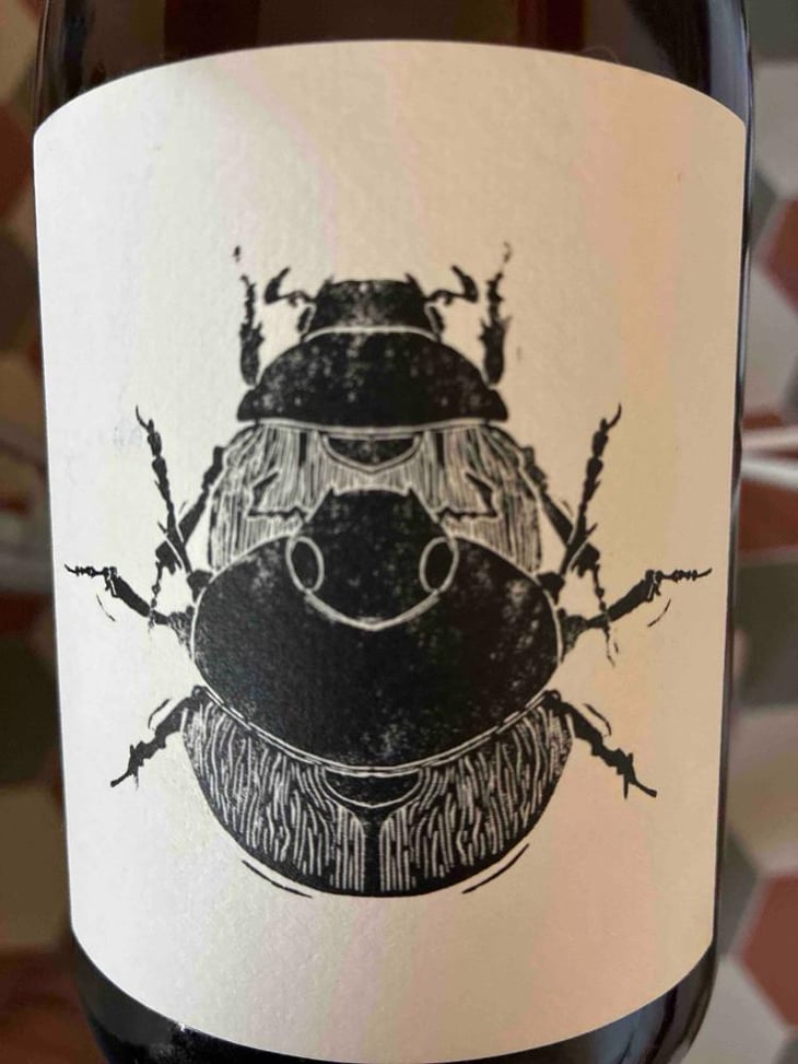 Superposition - Vin Noé - Jonathan Purcell -2022