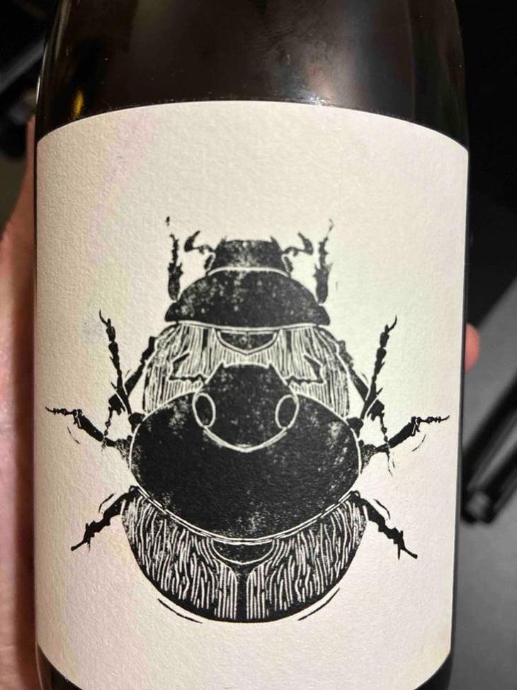 Superposition - Vin Noé - Jonathan Purcell -2022