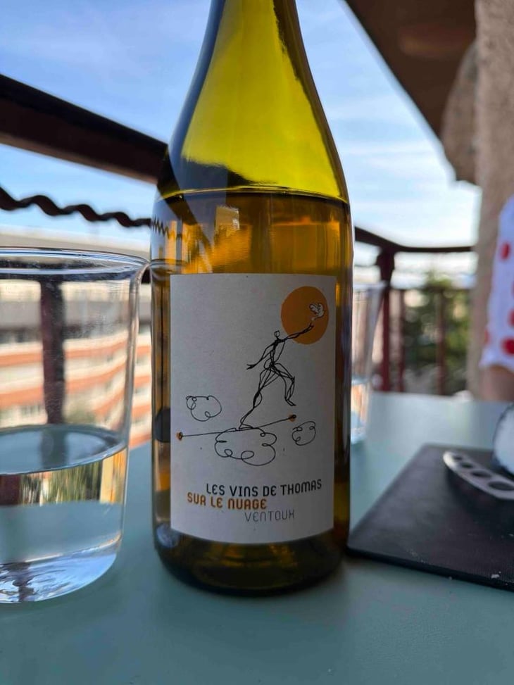 Sur Le Nuage - La Ferme Saint-Martin - Les Vins de Thomas - Sophie & Thomas Jullien 