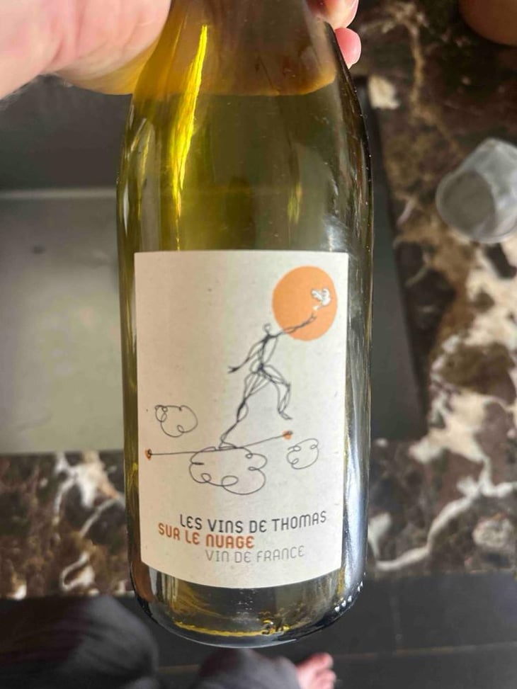 Sur Le Nuage - La Ferme Saint-Martin - Les Vins de Thomas - Sophie & Thomas Jullien 