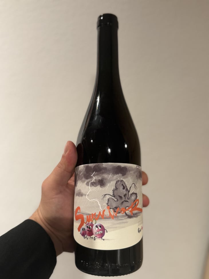 Survivor Rosato (old label) - Panevino - Gianfranco Manca 