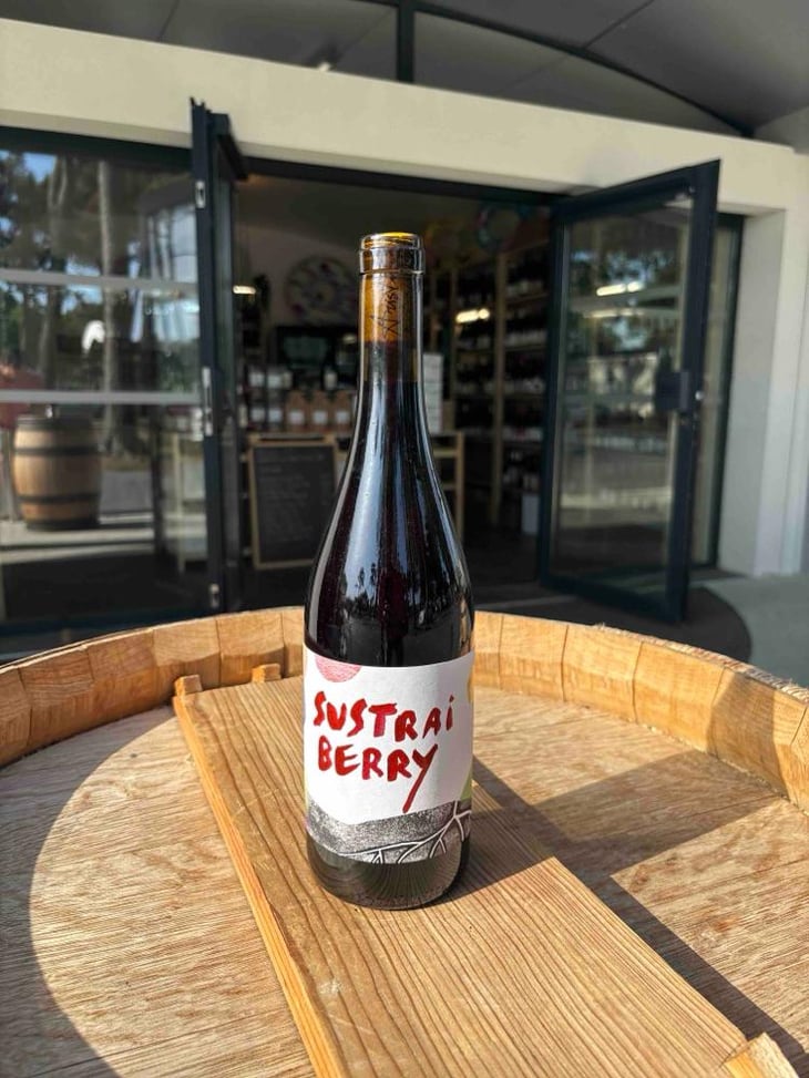 Sustrai Berry - Bodegas Aristu - Ibon Ollo -2021