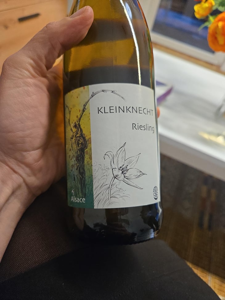 Sylvaner - Domaine Kleinknecht - André Kleinknecht 