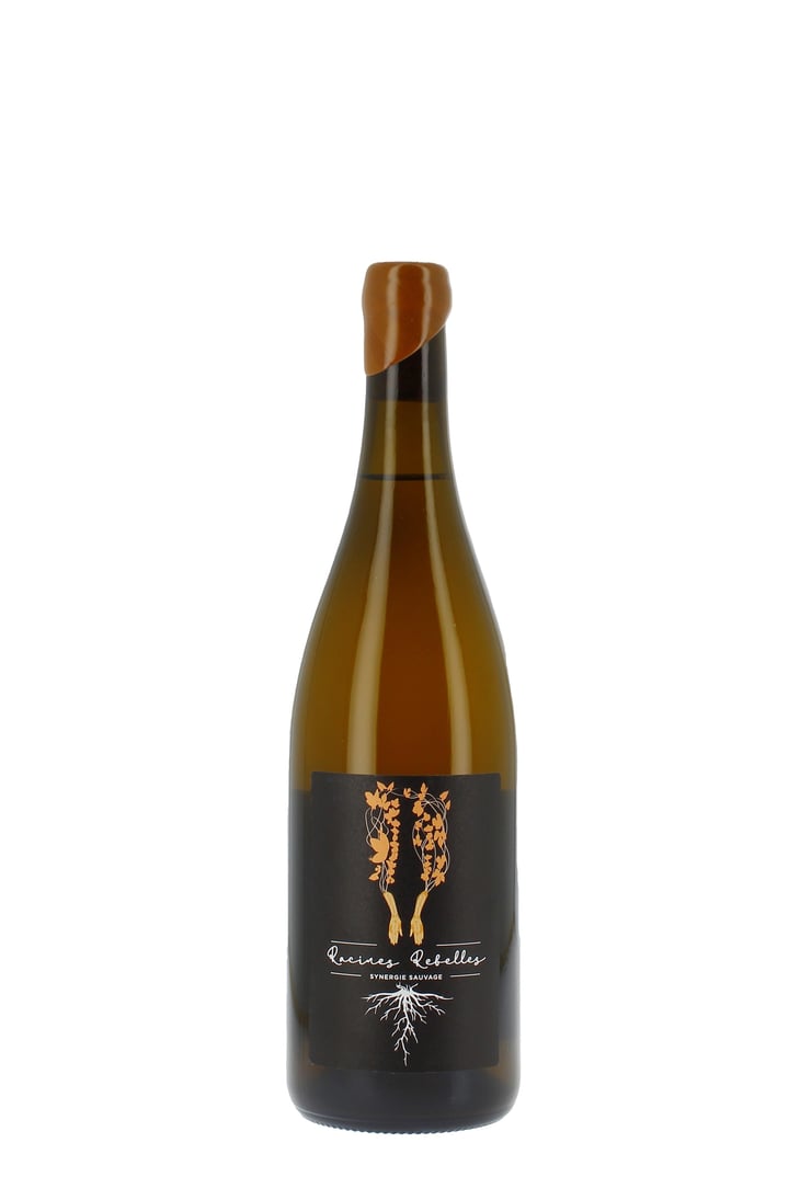 Synergie Sauvage - Racines Rebelles - Kaja Kohv -2023
